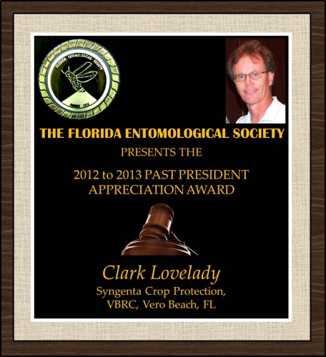 Clark Lovelady receives the 2013 FES Past President Appreciation Award 